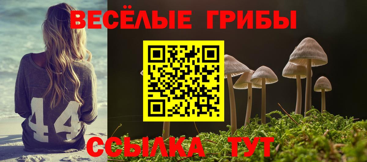 Галлюциногенные грибы Magic Shrooms  Галлюциногенные грибы Psilocybe  Вход с VPN  Шелехов 